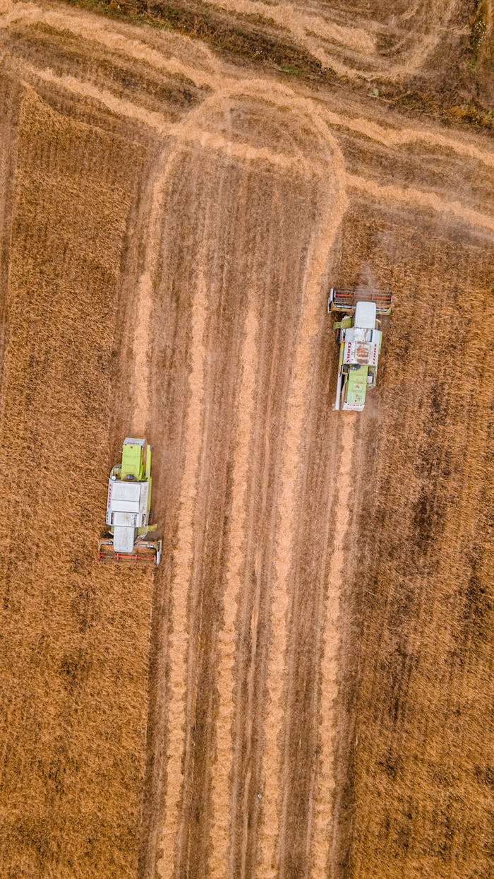 portfolio-02 Top-down view of combine harvesters working in a wheat field in Çeltikçi, Türkiye.