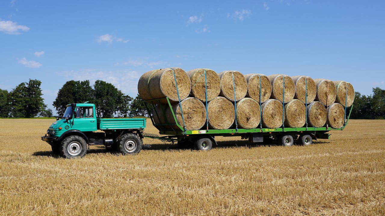 gallery-02 Hay bales loaded on a tractor trailer in a sunny rural field in Germany.